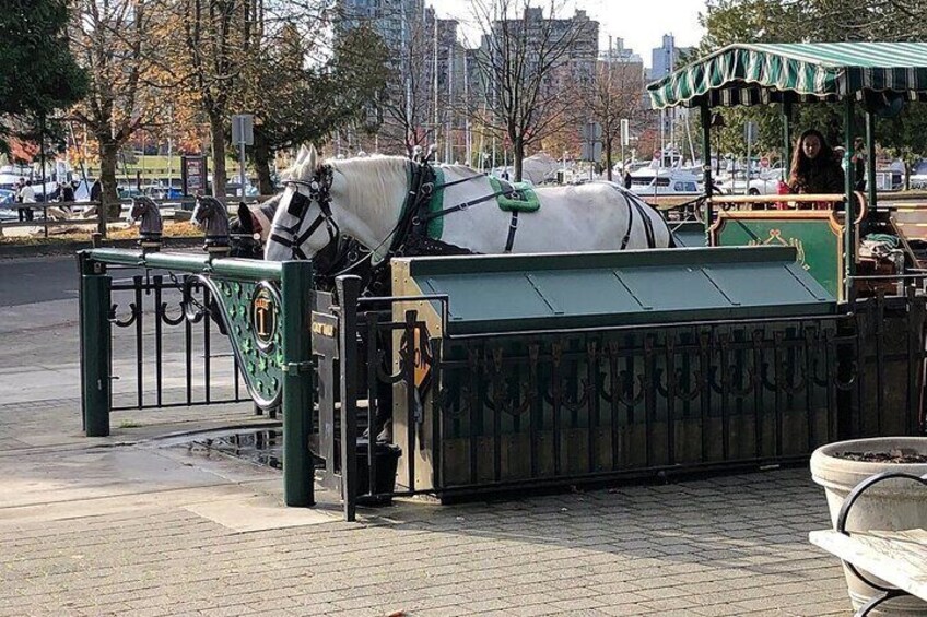 Stanley Park Horse-Drawn Tour