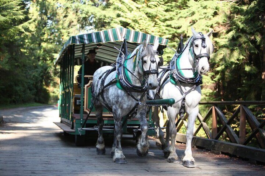 Stanley Park Horse-Drawn Tour