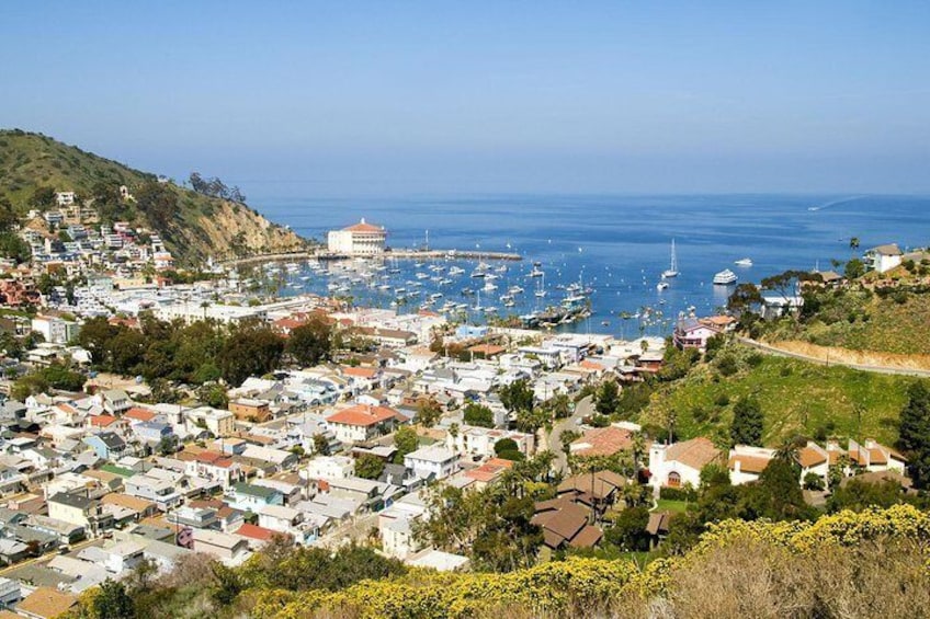 Catalina Island Day Trip from Anaheim with Optional Upgrades