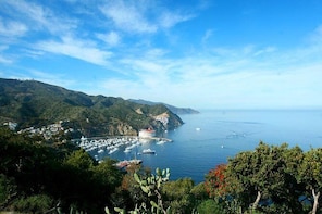 Catalina Island Day Trip from Anaheim with Optional Upgrades