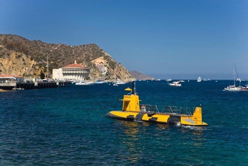 Catalina Island Day Trip from Anaheim with Optional Upgrades