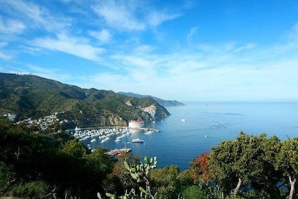 Catalina Island Trip with Hotel transfers & Optional tours