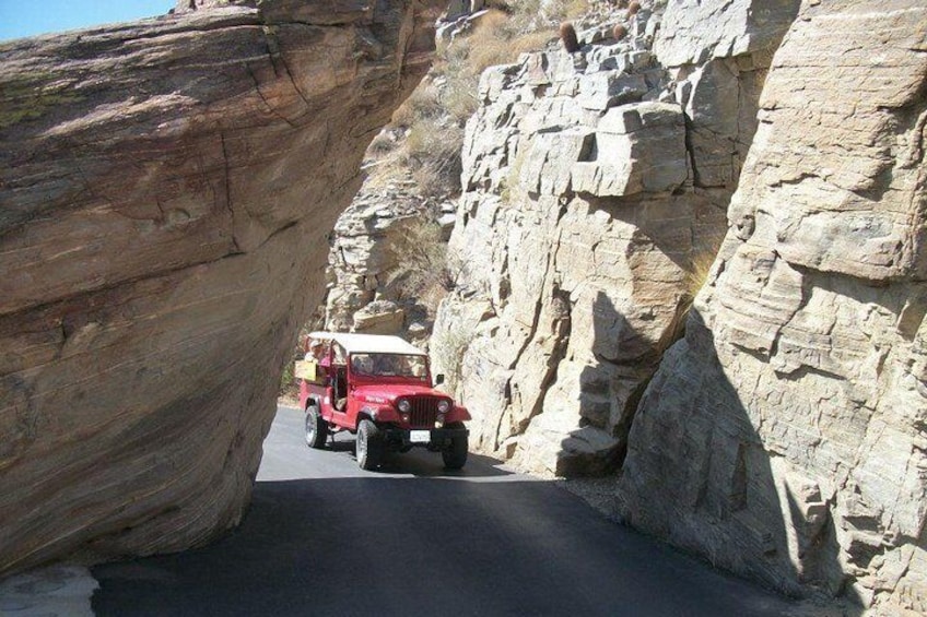 Indian Canyons Walking Tour by Jeep from Palm Springs