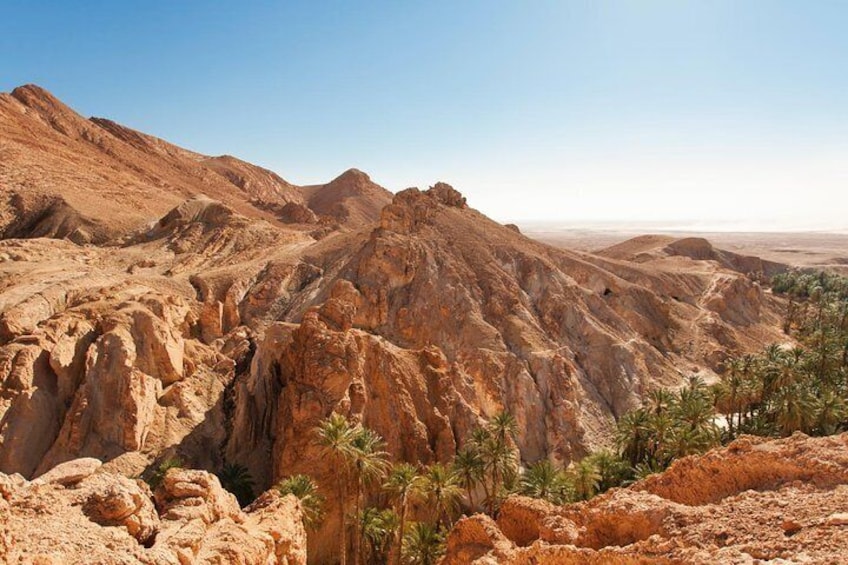 Indian Canyons by Jeep plus Hiking Tour from Palm Springs