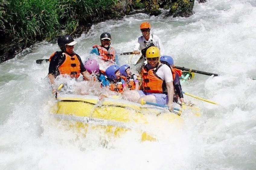 Rogue River Gold Nugget Section
