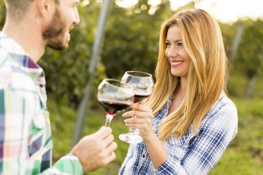 Half Day Paso Robles Wine Tasting Tour