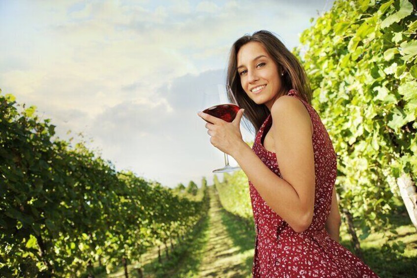 Half Day Paso Robles Wine Tasting Tour