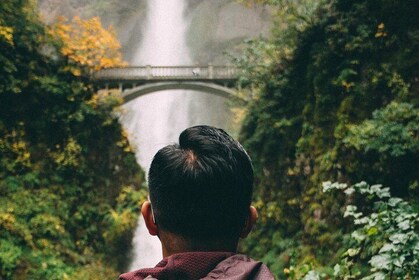 Visit Multnomah Falls, two waterfalls, & Vista House