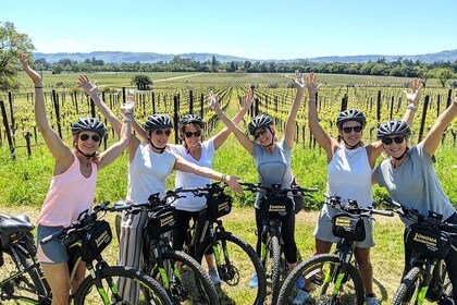 Sonoma Valley Bike and Wine Tour (E-bike or Regular)