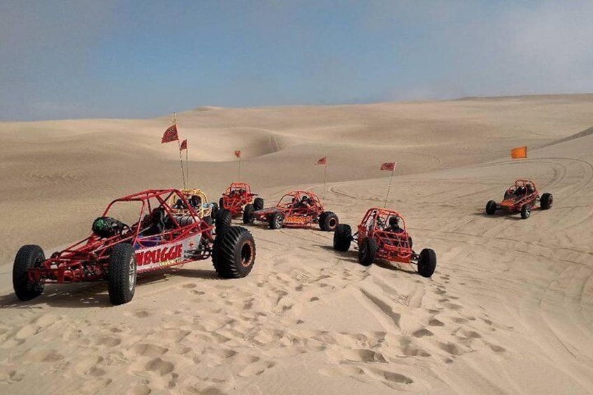 Long, Wide, Low and stable with Giant paddle tires, this is the Only REAL Dune Buggy Experience at the Oceano Dunes.