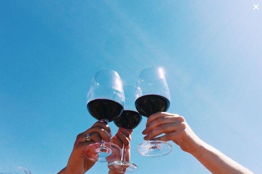 Baja Mexico Winery and Vineyard Tour