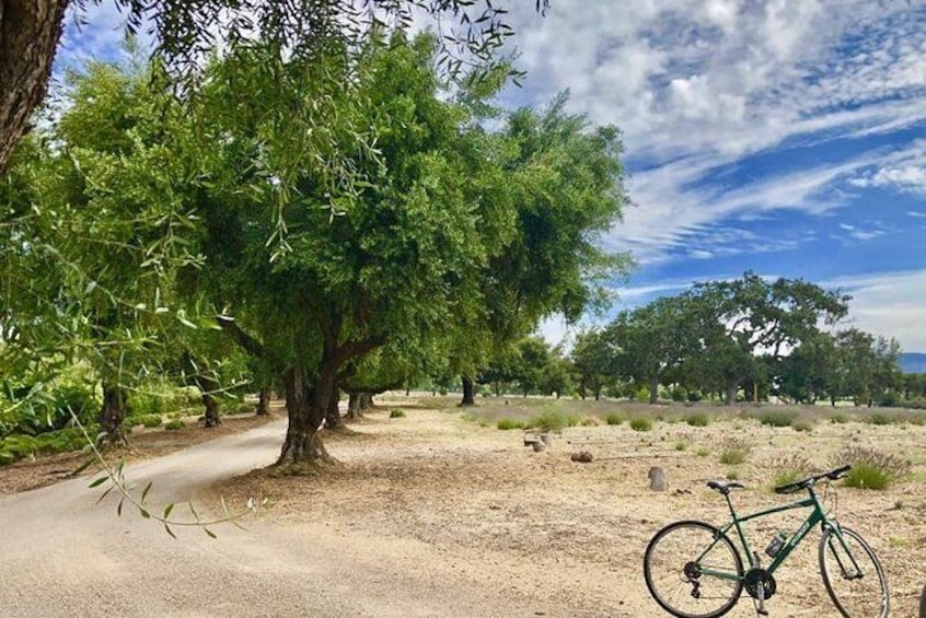 Bike at Farm