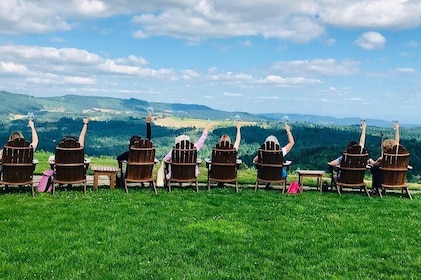 Amy & Reba's Day Drinking Wine Tours, Where we'll Drive you to Drink