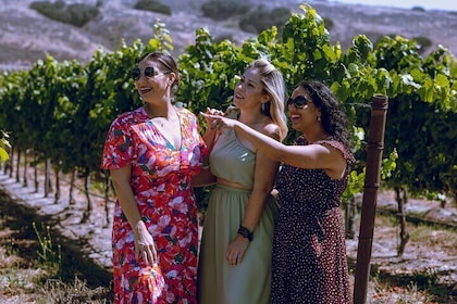 Ganztägige All-Inclusive-Weinprobe-Tour ab Santa Ynez Valley