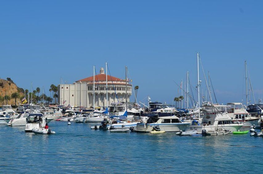 Catalina Island Day Trip from LAX area hotels with Discover Avalon Scenic Tour
