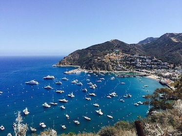 Catalina Island w/Discover Avalon Scenic Tour & Hotel transfers
