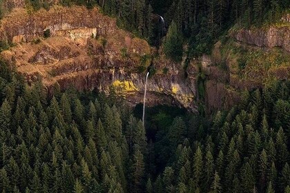 Exclusive 1 Hour Private Gorge & Portland Air Tour for 3