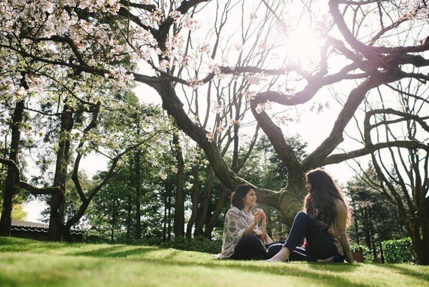 Summer Sun at VanDusen Botanical Garden