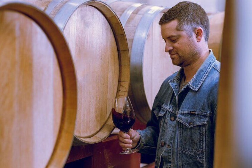 Guests are given a behind-the-scenes to wine making and learn about Temecula Valley agriculture.