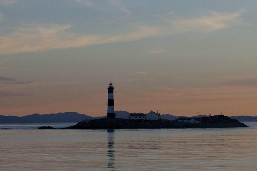 Zodiac Marine Wildlife Excursion from Victoria