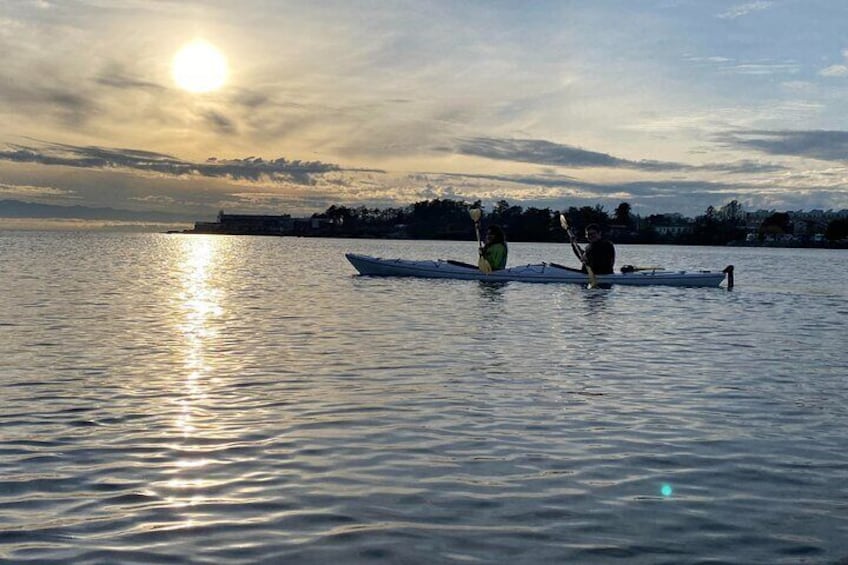 Victoria Harbour Sunset Kayak Tour