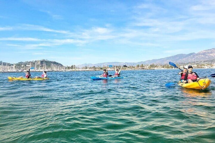 Santa Barbara Kayak Tour