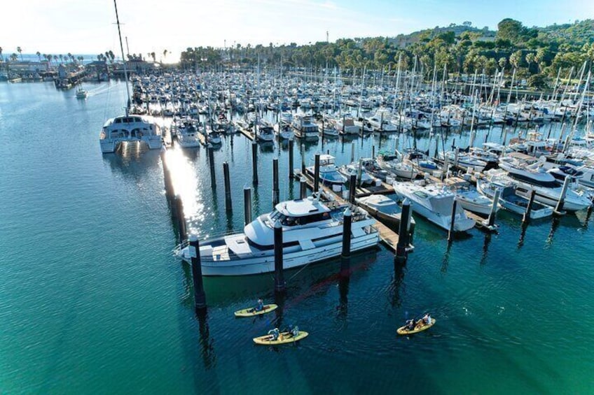 Aerial view of kayakers in the harbor