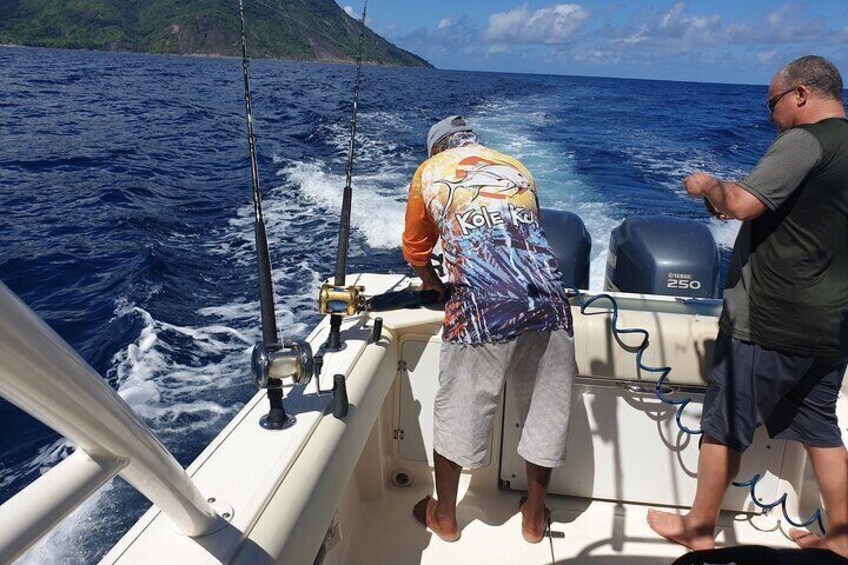 Big Game Fishing a Fishing Charter in Seychelles