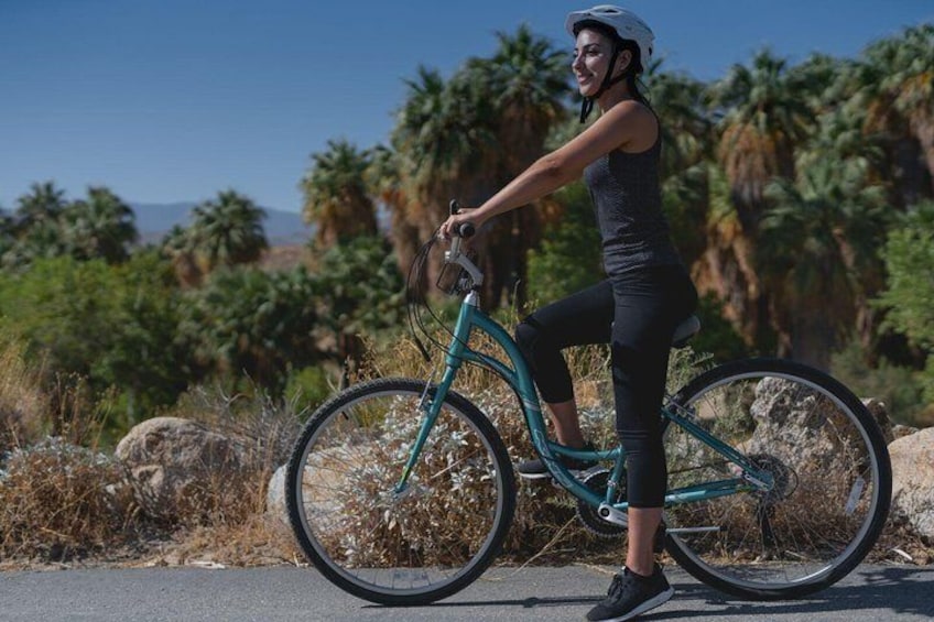 The Indian Canyons are home to the largest California Palm Oasis in the world