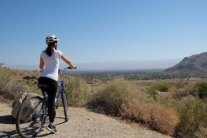 Palm Springs Indian Canyons Cykel och vandring