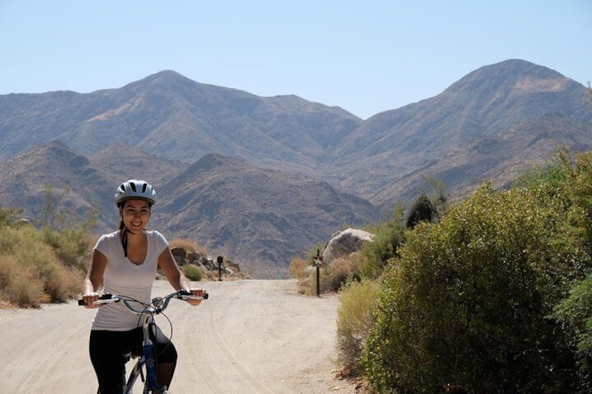 The Indian Canyons are an incredible and pristine wilderness so close to downtown Palm Springs!