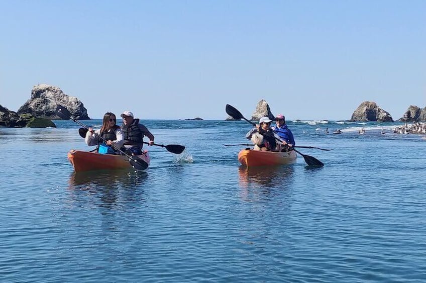 Russian River Kayak Tour at the Beautiful Sonoma Coast
