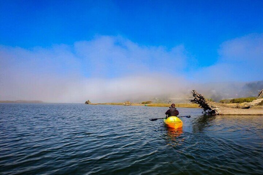 Russian River Kayak Tour at the Beautiful Sonoma Coast