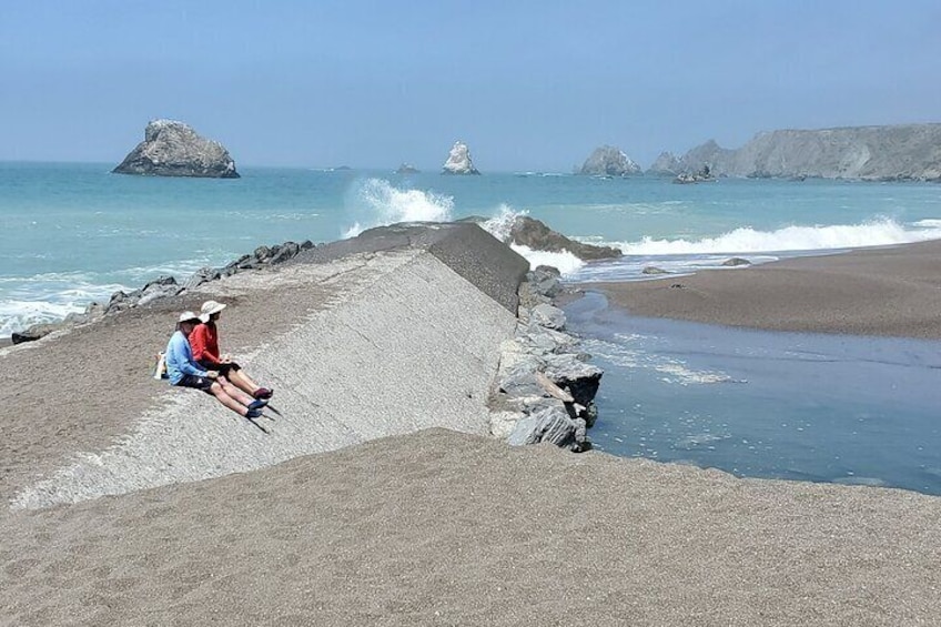 Russian River Kayak Tour at the Beautiful Sonoma Coast