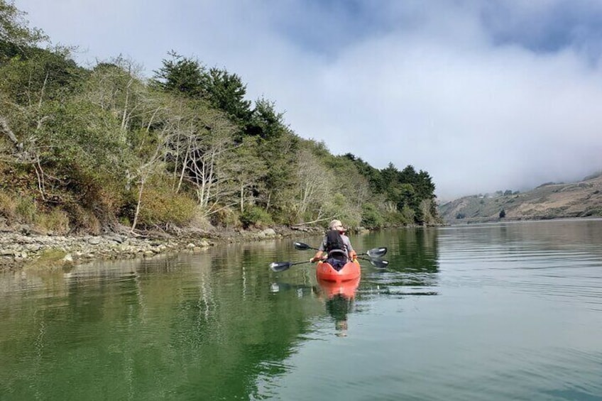 Russian River Kayak Tour at the Beautiful Sonoma Coast