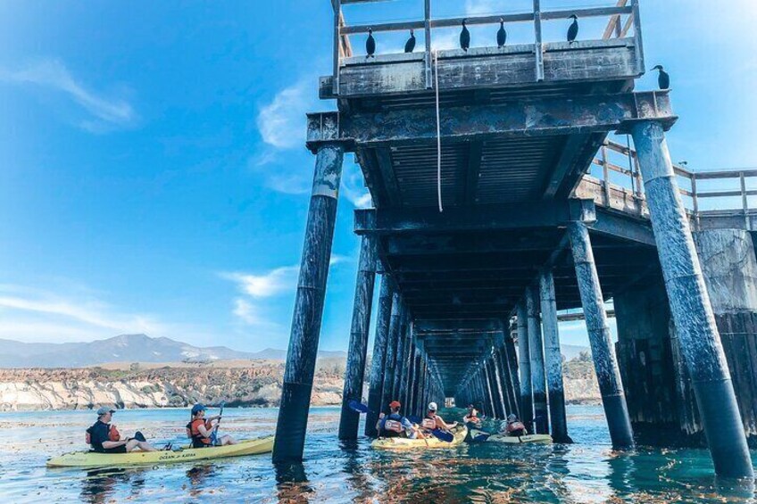 Kayaking under Appleford Pier