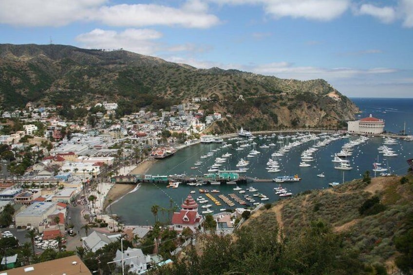 Catalina Island Day Trip from Anaheim with Avalon Tour