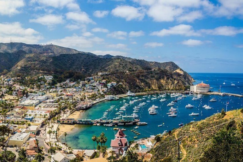 Catalina Island Day Trip from Anaheim with Avalon Tour