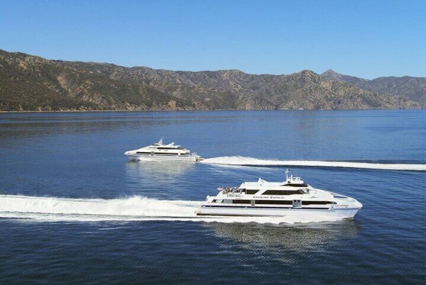 Catalina Express to and from the Island!