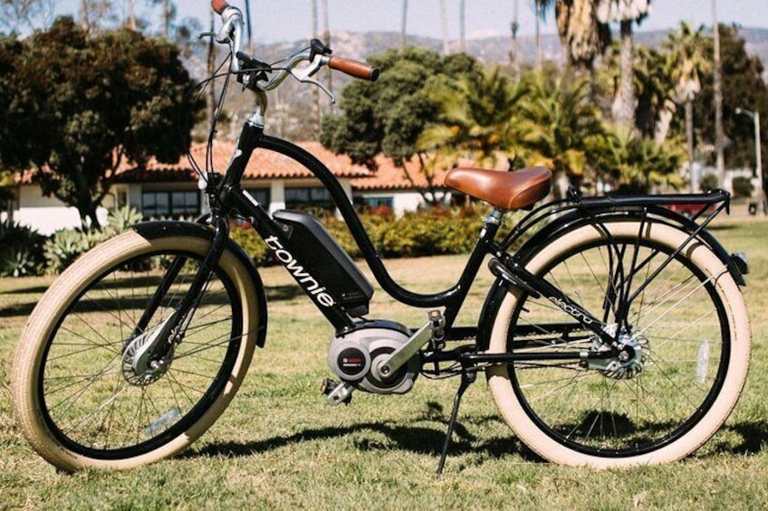 New High-End Townie Go EBike from Trek and Electra!