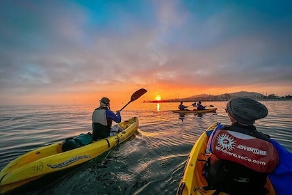Sunset Kayak Tour of Santa Barbara with Knowledgeable Guide