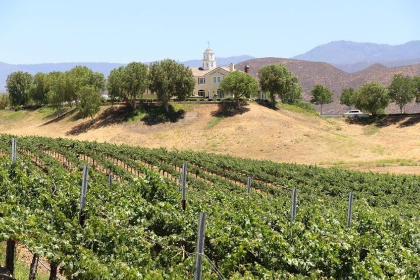 Fun on our Temecula Wine & Vine Tour!