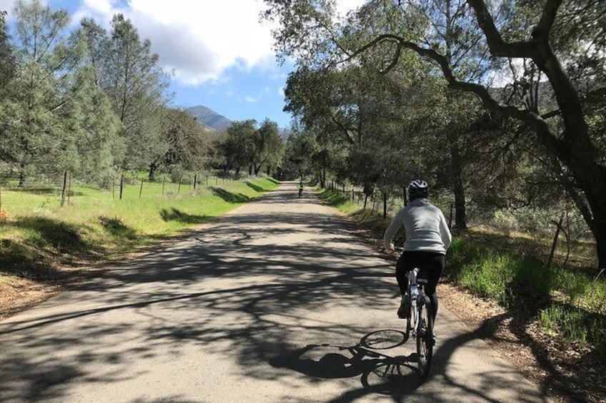 Wine Country Cyclists