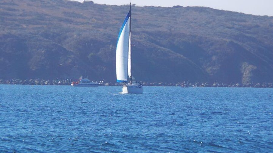 Private Sailing Tour of Bodega Bay