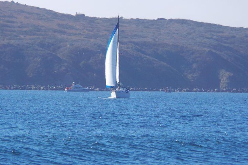 Private Sailing Tour of Bodega Bay