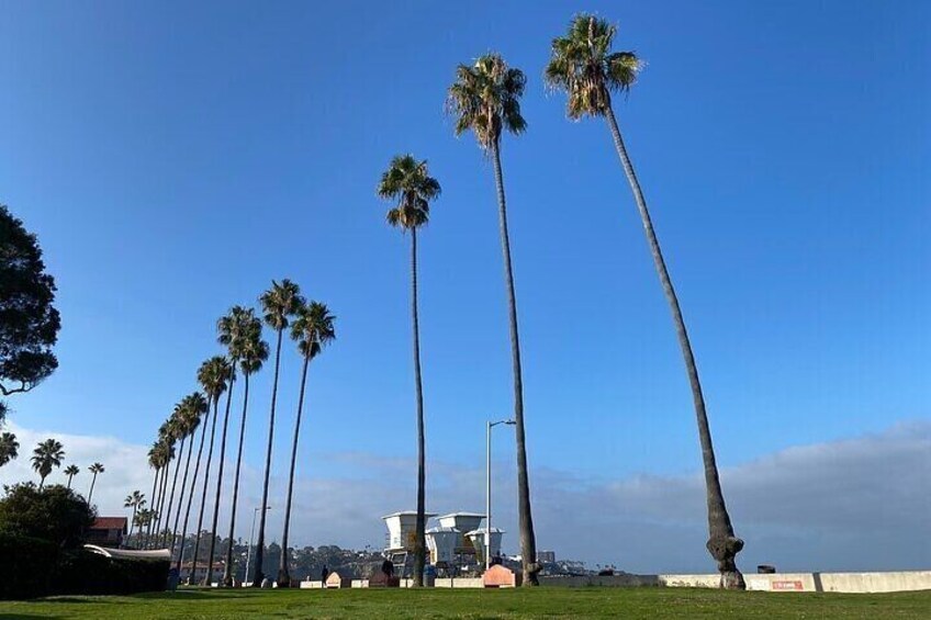 La Jolla Shores Beach 