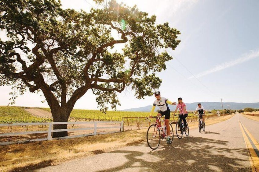 Wine Country Cyclists