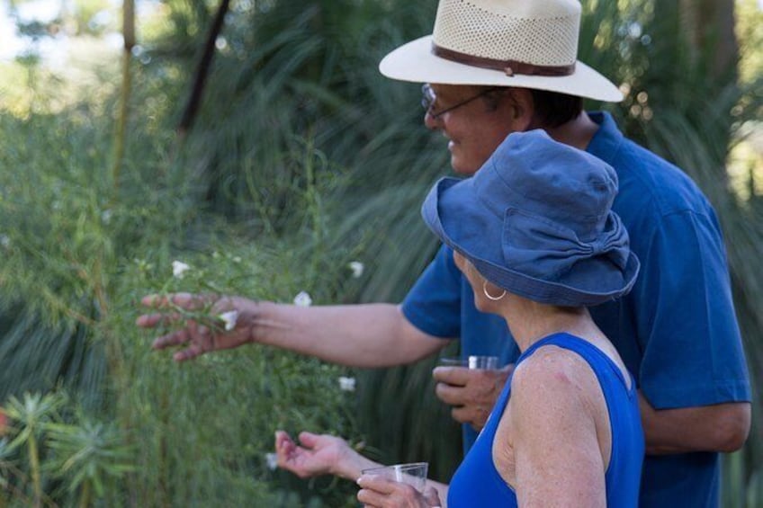 Show item 1 of 10. Ruth Bancroft Garden General Admission Ticket