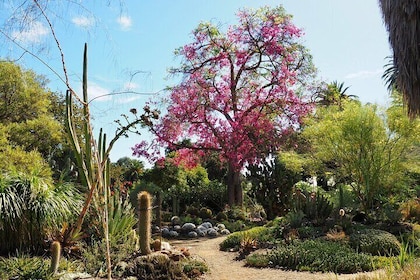 Ruth Bancroft Garden General Admission Ticket