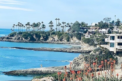 Los Ángeles /Transporte /Tour & Hotel Package